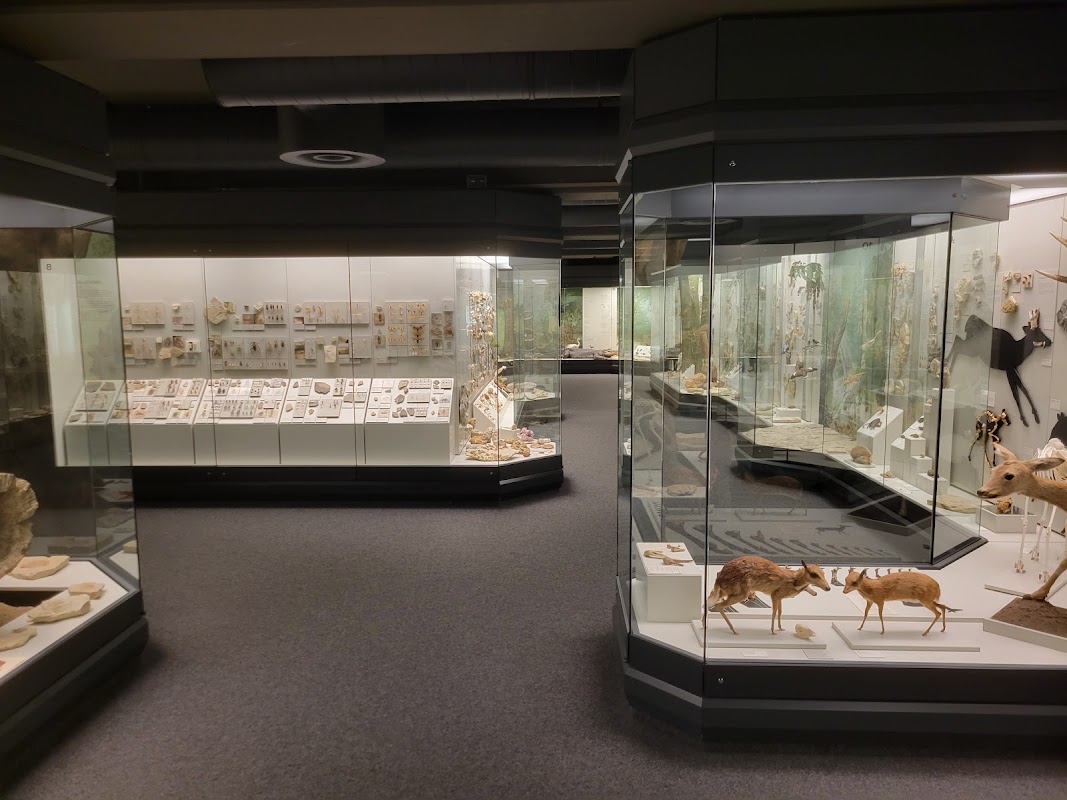 Naturmuseum Augsburg