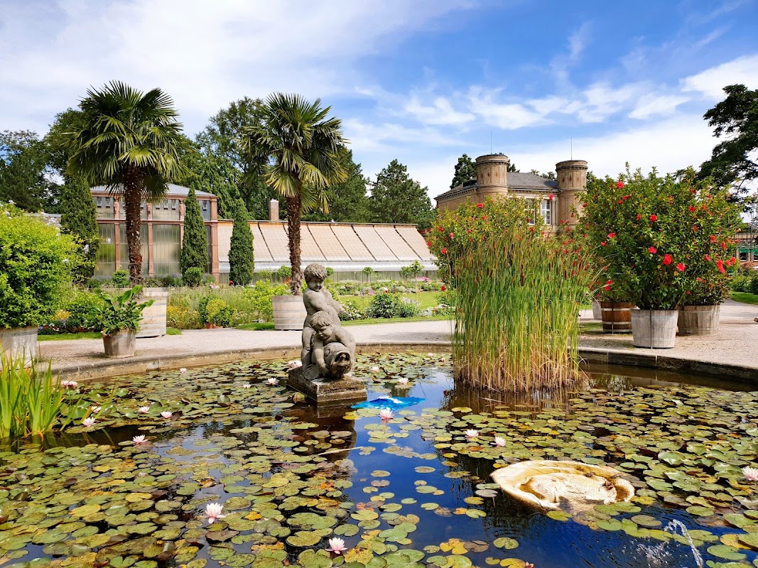 Botanischer Garten Karlsruhe