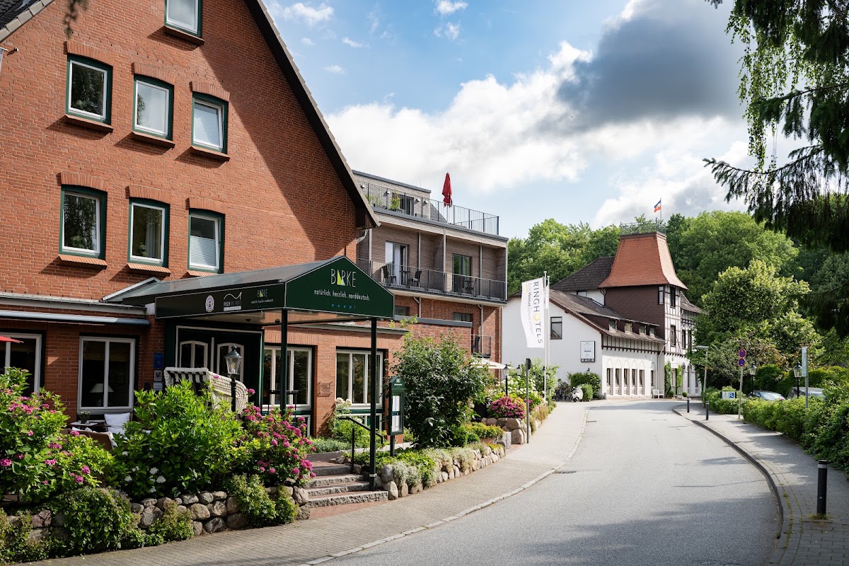 Hotel Birke