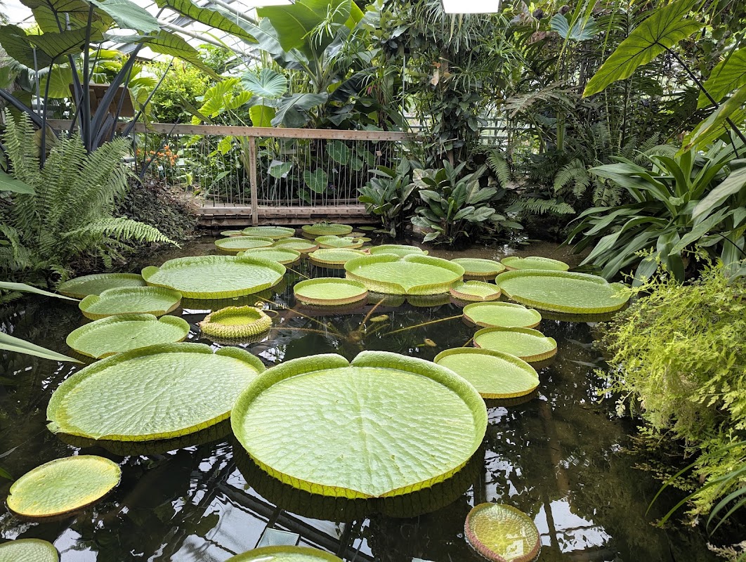 Botanischer Garten der Universität Münster
