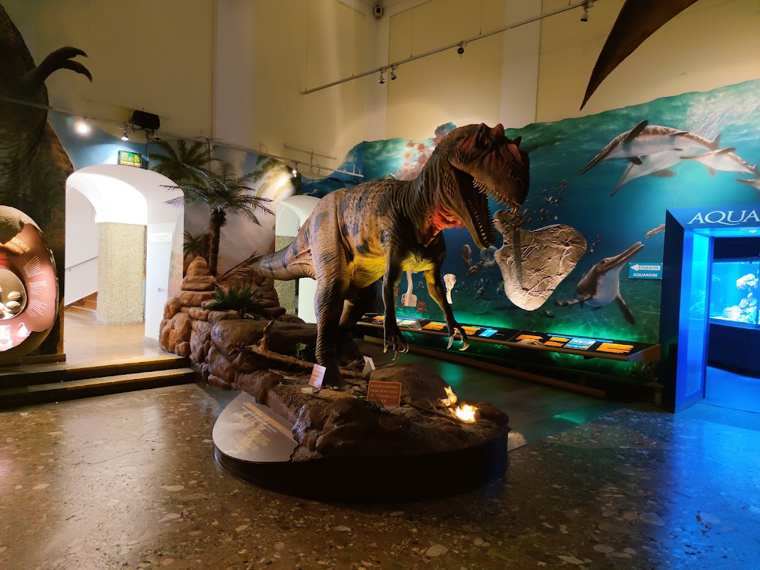 Haus der Natur - Museum für Natur und Technik