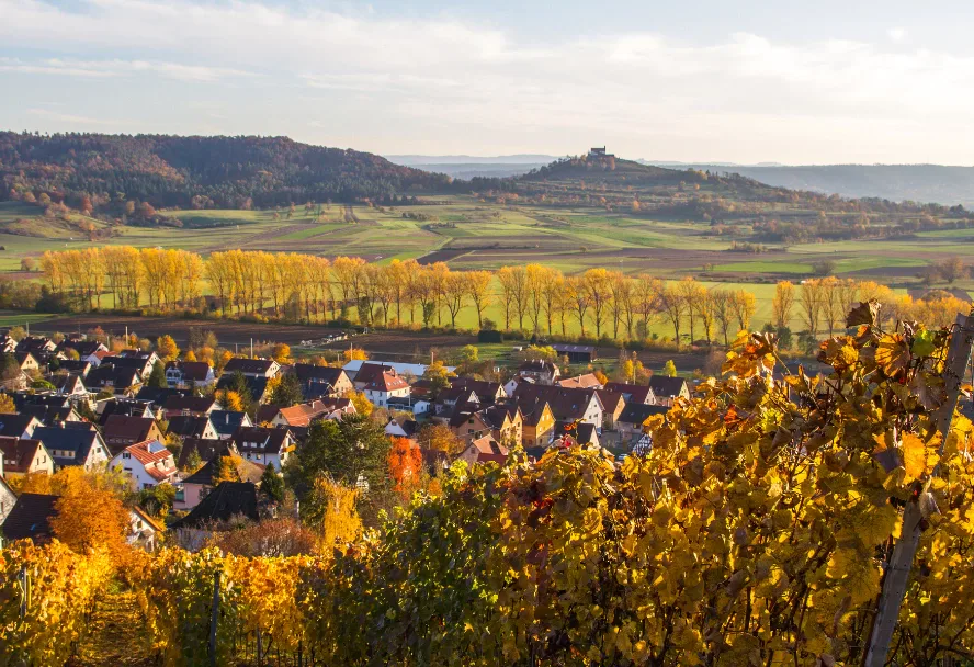 Herbstliche Weinberge über einem Dorf, im Hintergrund eine Burg auf bewaldeter Kuppe